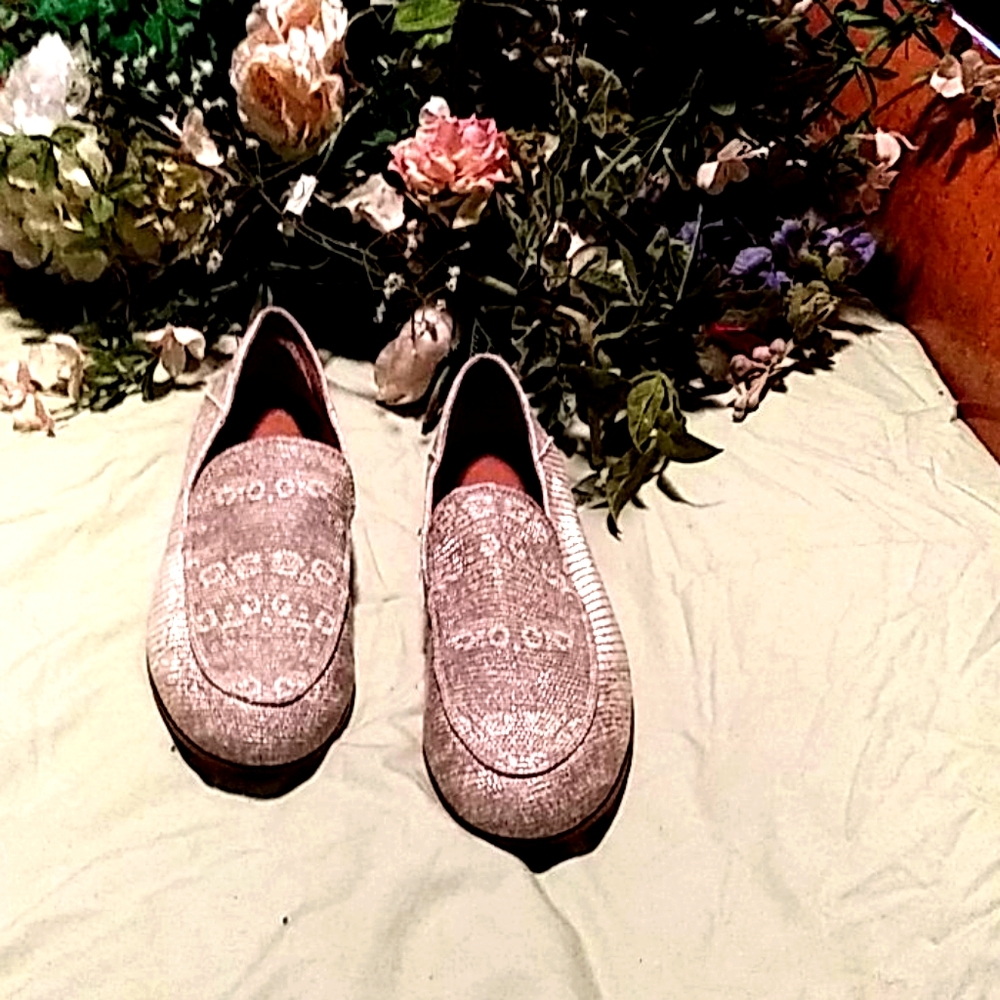 Sarto leather shoes (484)